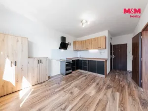 Pronájem bytu 2+kk, Chodov, Čs. odbojářů, 35 m2