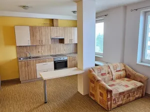 Prodej bytu 1+kk, Velké Meziříčí, Školní, 29 m2