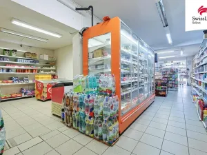 Prodej rodinného domu, Blovice, Americká, 260 m2