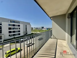 Pronájem bytu 1+kk, Plzeň - Jižní Předměstí, Železná, 42 m2