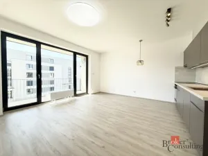 Pronájem bytu 1+kk, Plzeň - Jižní Předměstí, Železná, 42 m2