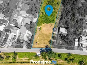 Prodej pozemku pro bydlení, Viničné Šumice, 7165 m2