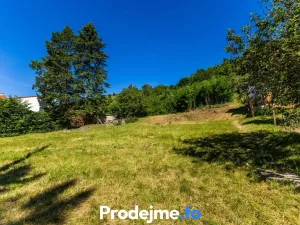 Prodej pozemku pro bydlení, Viničné Šumice, 7165 m2