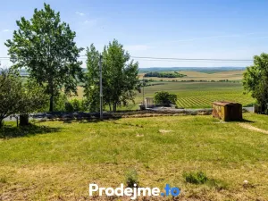 Prodej pozemku pro bydlení, Viničné Šumice, 7165 m2