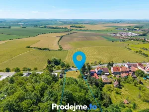Prodej pozemku pro bydlení, Viničné Šumice, 7165 m2