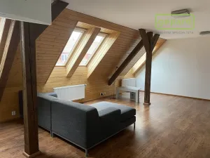 Pronájem bytu 2+kk, Praha, Za poštou, 75 m2
