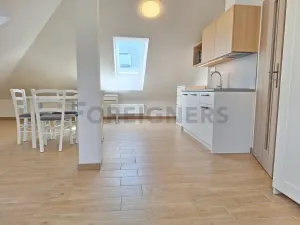 Pronájem bytu 1+kk, Olomouc, 1. máje, 40 m2