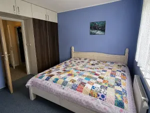 Prodej bytu 3+1, Česká Ves, Haškova, 64 m2
