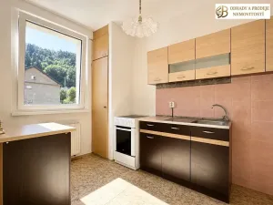 Prodej bytu 2+1, Hanušovice, Na Holbě, 45 m2