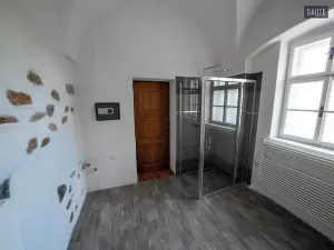 Prodej domu, Vlasatice, 5889 m2