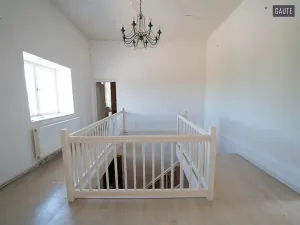 Prodej zemědělské usedlosti, Vlasatice, 5889 m2