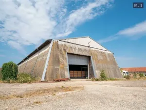 Prodej zemědělské usedlosti, Vlasatice, 5889 m2