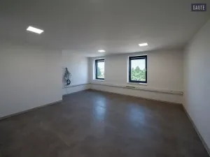 Prodej zemědělské usedlosti, Vlasatice, 5889 m2