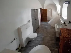 Prodej zemědělské usedlosti, Vlasatice, 5889 m2