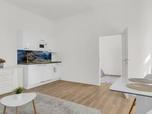 Prodej bytu 2+kk, Praha, Petrská, 42 m2