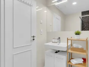 Prodej bytu 2+kk, Praha, Petrská, 42 m2