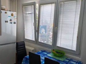 Pronájem bytu 2+1, Plzeň, Sousedská, 62 m2