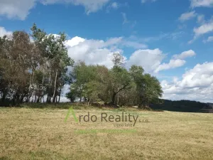 Prodej pozemku, Hořice na Šumavě - Mýto, 2722 m2