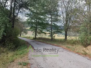Prodej pozemku, Hořice na Šumavě - Mýto, 2722 m2