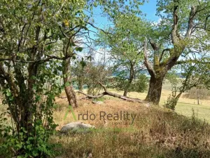 Prodej pozemku, Hořice na Šumavě - Mýto, 2722 m2