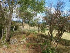 Prodej pozemku, Hořice na Šumavě - Mýto, 2722 m2