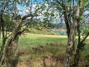 Prodej pozemku, Hořice na Šumavě - Mýto, 2722 m2