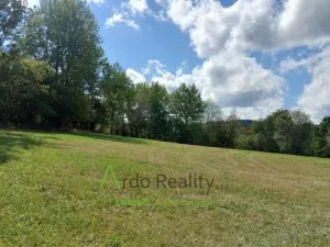 Prodej pozemku, Hořice na Šumavě - Mýto, 2722 m2