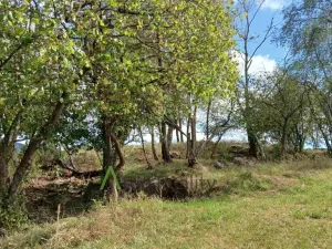 Prodej pozemku, Hořice na Šumavě - Mýto, 2722 m2