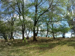 Prodej pozemku, Hořice na Šumavě - Mýto, 2722 m2