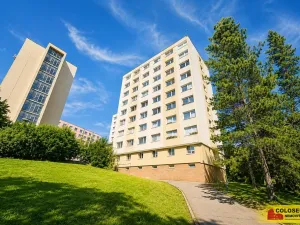 Prodej bytu 2+1, Třebíč, Řípovská, 44 m2