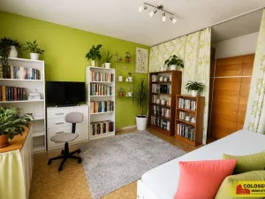 Prodej bytu 2+1, Třebíč, Řípovská, 44 m2