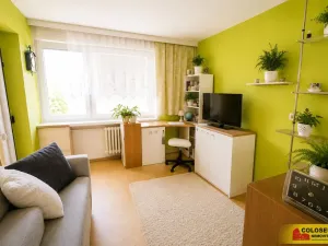 Prodej bytu 2+1, Třebíč, Řípovská, 44 m2
