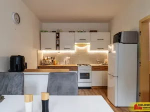 Prodej rodinného domu, Pravice, 90 m2