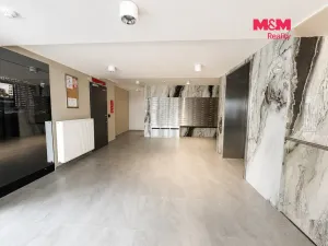 Pronájem bytu 2+kk, Praha - Vysočany, Pod Harfou, 42 m2