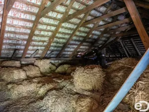 Prodej rodinného domu, Polní Voděrady, 114 m2