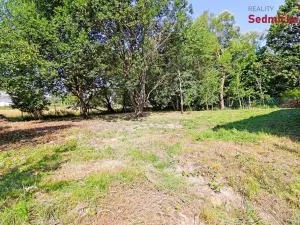 Prodej rodinného domu, Chotěboř - Střížov, 90 m2