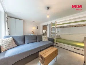 Prodej bytu 1+kk, Janov nad Nisou, 29 m2