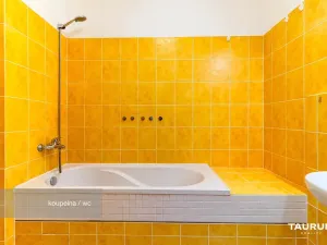 Prodej bytu 2+kk, Plzeň - Východní Předměstí, Květná, 69 m2