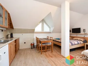 Prodej bytu 1+kk, Černý Důl - Čistá v Krkonoších, 32 m2