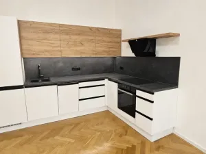 Pronájem bytu 1+kk, Brno, Údolní, 46 m2