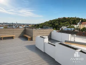 Pronájem bytu 1+kk, Brno, Údolní, 46 m2