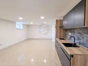 Prodej komerční nemovitosti, Praha - Kobylisy, Javorová, 49 m2
