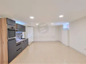 Prodej komerční nemovitosti, Praha - Kobylisy, Javorová, 49 m2