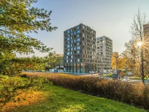 Pronájem bytu 1+kk, Praha - Prosek, Litoměřická, 35 m2