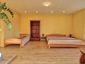 Pronájem bytu 2+kk, Olomouc - Nové Sady, Valdenská, 73 m2