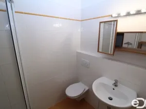 Pronájem bytu 1+kk, Praha - Holešovice, Osadní, 33 m2