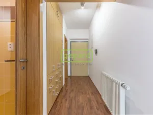 Pronájem bytu 1+kk, Říčany, Na Výsluní, 31 m2