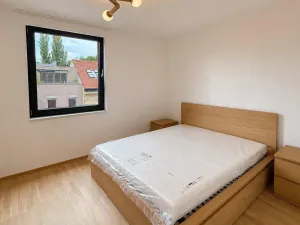 Pronájem bytu 2+kk, Praha - Žižkov, Hartigova, 55 m2
