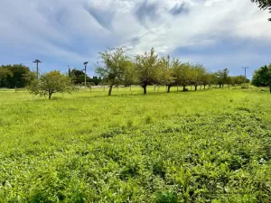 Prodej pozemku pro bydlení, Dřevohostice, Náměstí, 1306 m2