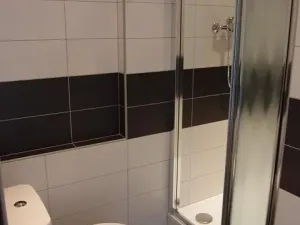 Pronájem bytu 1+1, Pardubice - Cihelna, U Josefa, 42 m2